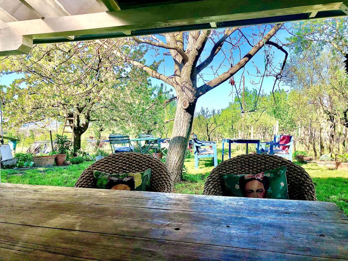 Bohemian Eco Lodge At Lake Balaton Kisapati Luaran gambar